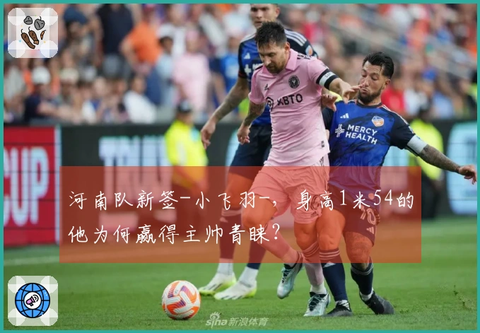 河南队新签-小飞羽-，身高1米54的他为何赢得主帅青睐？