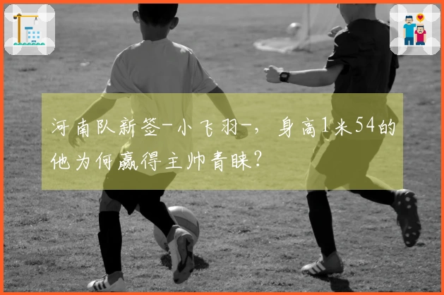 河南队新签-小飞羽-，身高1米54的他为何赢得主帅青睐？